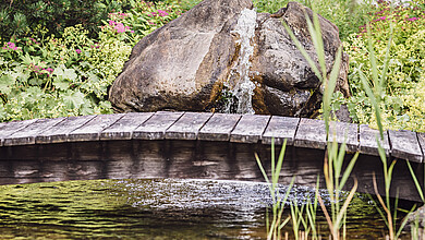 Natural bathing pond in the outdoor wellness area at the Hotel Wiesenegg