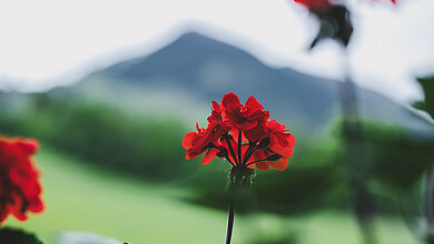 [Translate to English:] 