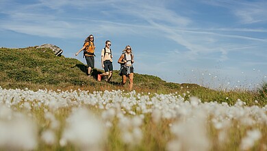 [Translate to English:] 