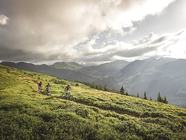 Drei Biker am Hacklbergtrail in Saalbach Hinterglemm