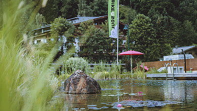 Sommer Aussenansicht